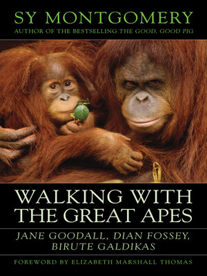 cover image of Walking with the Great Apes